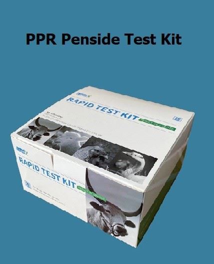 Тестовий набір PPR у пансіонаті